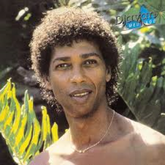 Djavan 1986 - Meu Lado - Na escolha de 10 álbuns musicais, 10 filmes ou desenhos, o Pen-Drive será grátis...Aproveite!