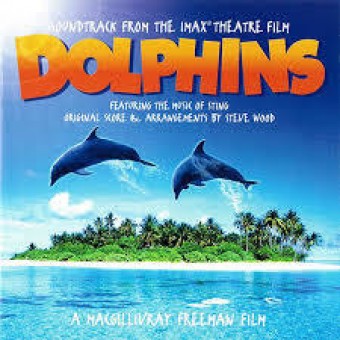Sting 2000 - Dolphins- Na escolha de 10 álbuns musicais, 10 filmes ou desenhos, o Pen-Drive será grátis...Aproveite!