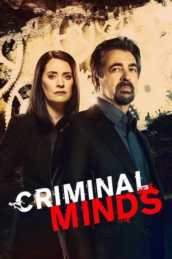 Criminal Minds - 12ª Temporada (Dublado) - PEN-DRIVE INCLUSO