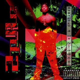 2Pac 1993 - Strictly 4 My N.I.G.G.A.Z - Na Escolha de 10 álbuns musicais, 10 filmes ou desenhos, o Pen-Drive será grátis...Aproveite!