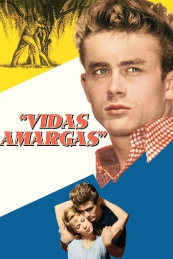 1955 Vidas Amargas (East of Eden) (Legendado) - *Na Escolha de 10 filmes ou desenhos, o Pen-Drive será grátis...Aproveite!