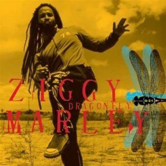 Ziggy Marley 2003 - Dragonfly - Na escolha de 10 álbuns musicais, 10 filmes ou desenhos, o Pen-Drive será grátis...Aproveite!