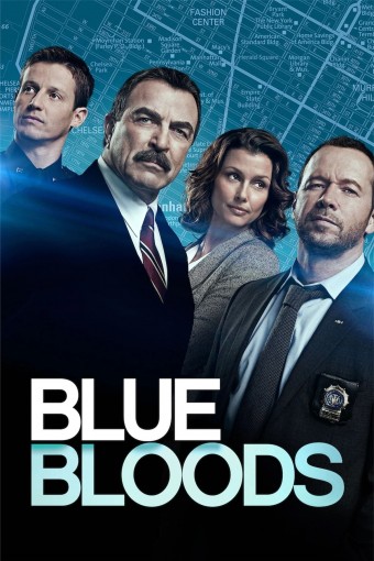 Sangue Azul (Blue Bloods) - 08ª Temporada (Legendado) - PEN-DRIVE INCLUSO