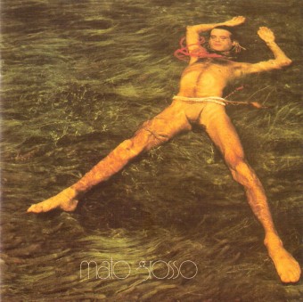 Ney Matogrosso 1982 - Mato Grosso - Na escolha de 10 álbuns musicais, 10 filmes ou desenhos, o Pen-Drive será grátis...Aproveite!
