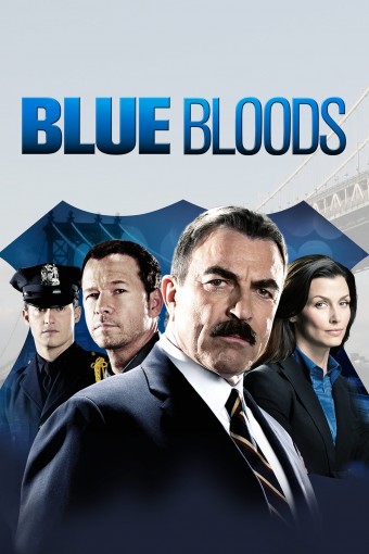 Sangue Azul (Blue Bloods) - 09ª Temporada (Dublado) - PEN-DRIVE INCLUSO