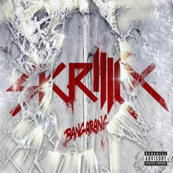 Skrillex 2011 - Bangarang- Na escolha de 10 álbuns musicais, 10 filmes ou desenhos, o Pen-Drive será grátis...Aproveite!