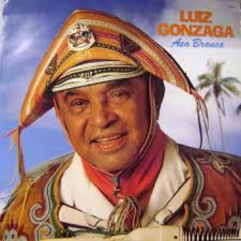 Luiz Gonzaga 1975 - Asa Branca - Na escolha de 10 álbuns musicais, 10 filmes ou desenhos, o Pen-Drive será grátis...Aproveite!