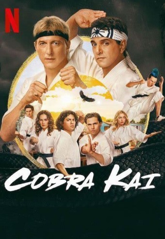 Cobra Kai - 6ª Temporada (Dublado) - PEN-DRIVE INCLUSO
