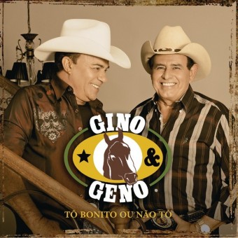 Gino & Geno 2016 - As Mais Mais de Gino & Geno - Na Escolha de 10 álbuns musicas o Pen-Drive será grátis...Aproveite!