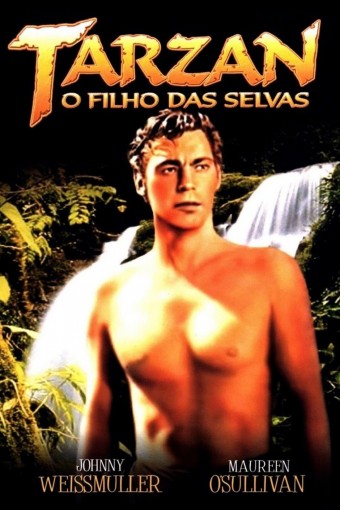 1932 Tarzan - O Filho da Selva (Tarzan the Ape Man) (Dual Audio) - *Na Escolha de 10 filmes ou desenhos, o Pen-Drive será grátis...Aproveite!