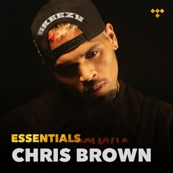 Chris Brown 2020 - Essentials - Na compra de 10 álbuns musicais, 10 filmes ou desenhos, o Pen-Drive será grátis...Aproveite!