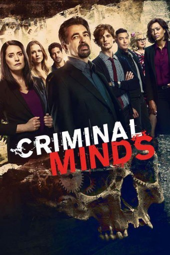 Criminal Minds - 15ª Temporada (Dublado) - PEN-DRIVE INCLUSO
