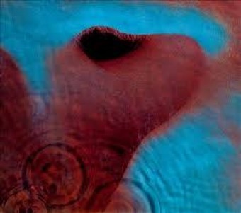 Pink Floyd 1971 - Meddle - Na escolha de 10 álbuns musicais, 10 filmes ou desenhos, o Pen-Drive será grátis...Aproveite!
