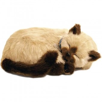 Perfect Petzzz Filhote Gato Siames Caramelo