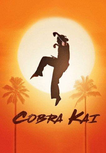 Cobra Kai - 1ª Temporada (Dublado) - PEN-DRIVE INCLUSO