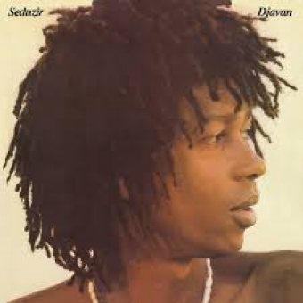 Djavan 1981 - Seduzir - Na compra de 10 álbuns musicais, 10 filmes ou desenhos, o Pen-Drive será grátis...Aproveite!