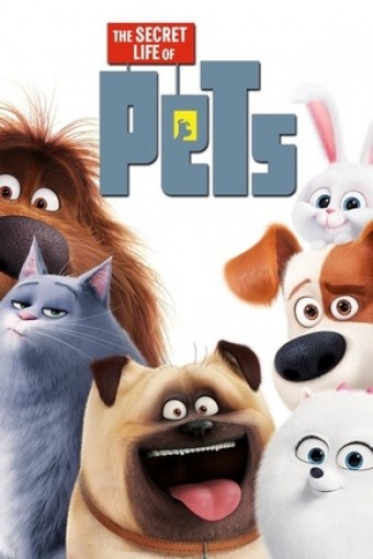 Pets - A Vida Secreta dos Bichos 1 (2016) - Na Escolha de 10 filmes ou desenhos, o Pen-Drive será grátis...Aproveite!