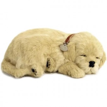 Perfect Petzzz Filhote Cachorro Labrador Retriever