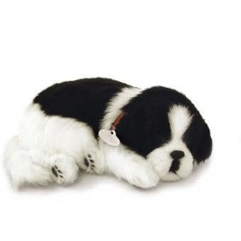 Perfect Petzzz Filhote Cachorro Border Collie