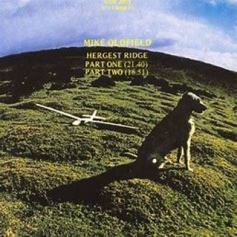 Mike oldfield 1976 - Orchestral Hergest Ridge - Na escolha de 10 álbuns musicais, 10 filmes ou desenhos, o Pen-Drive será grátis...Aproveite!