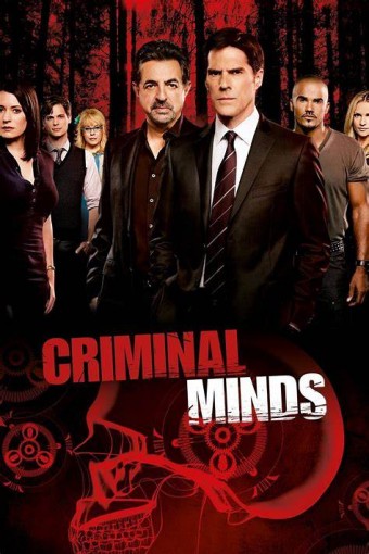 Criminal Minds - 07ª Temporada (Dublado) - PEN-DRIVE INCLUSO