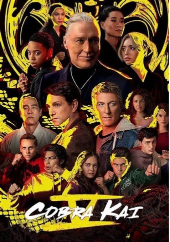 Cobra Kai - 5ª Temporada (Dublado) - PEN-DRIVE INCLUSO