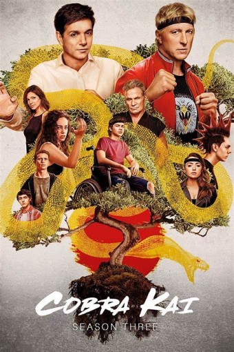 Cobra Kai - 3ª Temporada (Dublado) - PEN-DRIVE INCLUSO