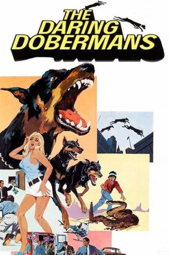 1973 A Volta da Gang dos Dobermans (Legendado) - Na Escolha de 10 filmes ou desenhos, o Pen-Drive será grátis...Aproveite! 