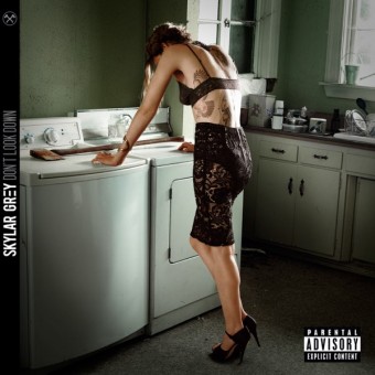 Skylar Grey 2013 - Don&#39;t Look Down - Na escolha de 10 álbuns musicais, 10 filmes ou desenhos, o Pen-Drive será grátis...Aproveite!