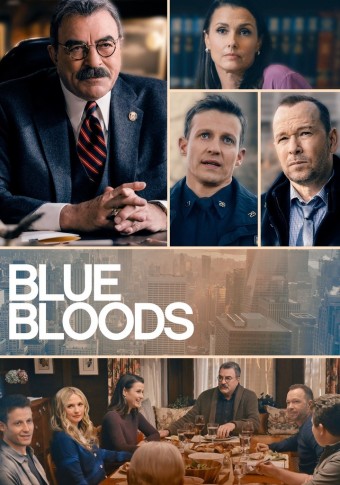 Sangue Azul (Blue Bloods) - 13ª Temporada (Legendado) - PEN-DRIVE INCLUSO