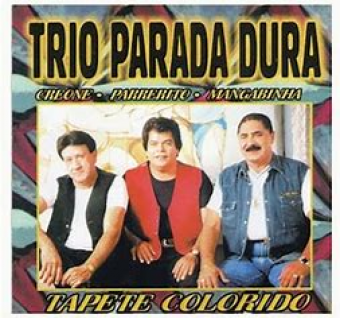 Trio Parada Dura 2002 - Tapete Colorido - Na escolha de 10 álbuns musicais, 10 filmes ou desenhos, o Pen-Drive será grátis...Aproveite!