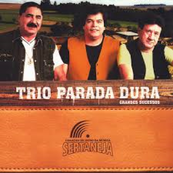 Trio Parada Dura 2009 - Colecao de Ouro da Musica Sertaneja - Na Escolha de 10 álbuns musicas o Pen-Drive será grátis...Aproveite!