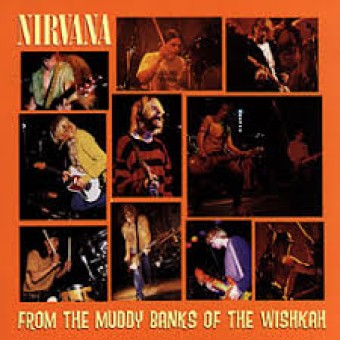 Nirvana 1996 - From the Muddy Banks of the Whiskah - Na escolha de 10 álbuns musicais, 10 filmes ou desenhos, o Pen-Drive será grátis...Aproveite!