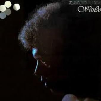 Wando 1981 - Pelas Noites Do Brasil - Na escolha de 10 álbuns musicais, 10 filmes ou desenhos, o Pen-Drive será grátis...Aproveite!