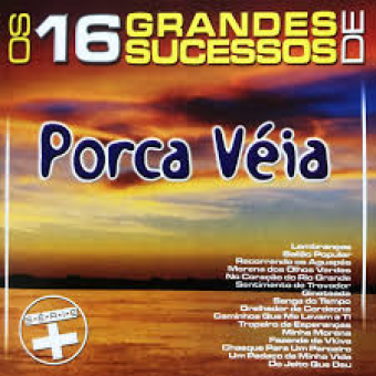 Porca Veia 2003 - Os 16 Grandes Sucessos de Porca Veia - Serie - Na Escolha de 10 álbuns musicais, 10 filmes ou desenhos, o Pen-Drive será grátis...Aproveite!