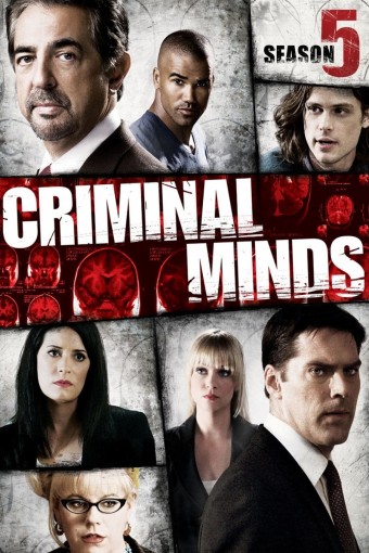 Criminal Minds - 05ª Temporada (Dublado) - PEN-DRIVE INCLUSO