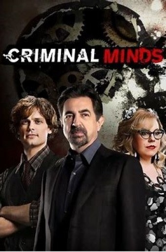 Criminal Minds - 13ª Temporada (Dublado) - PEN-DRIVE INCLUSO