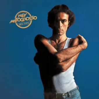 Ney Matogrosso 1979 - Seu Tipo - Na escolha de 10 álbuns musicais, 10 filmes ou desenhos, o Pen-Drive será grátis...Aproveite!