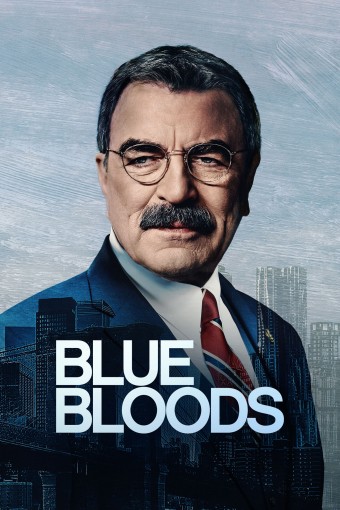 Sangue Azul (Blue Bloods) - 14ª Temporada (Dublado) - PEN-DRIVE INCLUSO