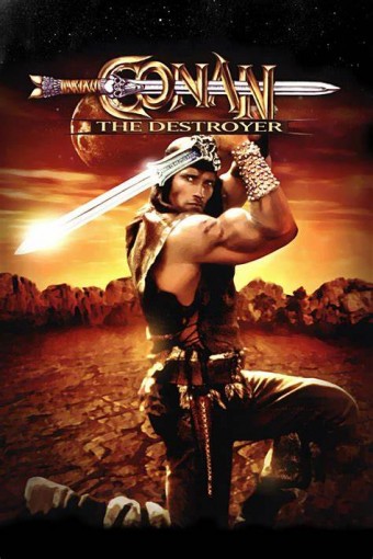 1984 Conan, o Destruidor (Dublado) - Na Escolha de 10 filmes ou desenhos, o Pen-Drive será grátis...Aproveite! 