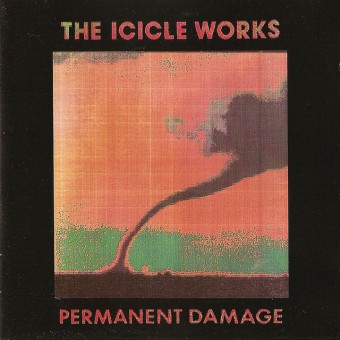 The Icicle Works 1990 - Permanent Damage - Na escolha de 10 álbuns musicais, 10 filmes ou desenhos, o Pen-Drive será grátis...Aproveite!