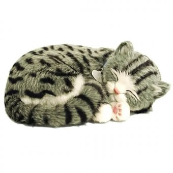 Perfect Petzzz Filhote Gato Gray Tabby