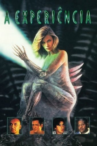1995 Experiencia (Dublado) - Na Escolha de 10 filmes ou desenhos, o Pen-Drive será grátis...Aproveite!