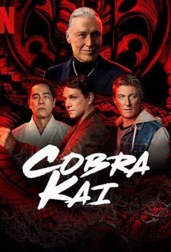 Cobra Kai - 4ª Temporada (Dublado) - PEN-DRIVE INCLUSO