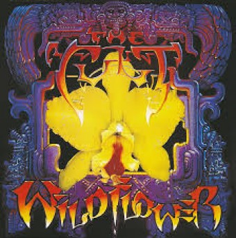 The Cult 1987 - Wildflower (live 1986-1987)- Na escolha de 10 álbuns musicais, 10 filmes ou desenhos, o Pen-Drive será grátis...Aproveite!