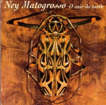 Ney Matogrosso 1997 - O cair da tarde - Na escolha de 10 álbuns musicais, 10 filmes ou desenhos, o Pen-Drive será grátis...Aproveite!