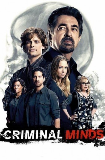Criminal Minds - Completa (Todas as 15 Temporadas) (Dublado) - PEN-DRIVE INCLUSO