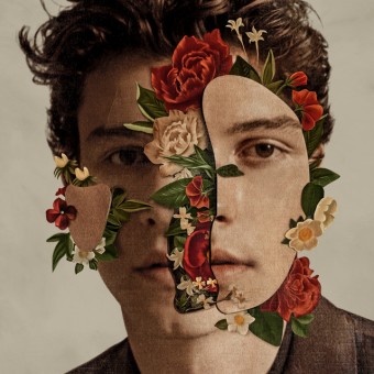 Shawn Mendes 2018 - Shawn Mendes - Na escolha de 10 álbuns musicais, 10 filmes ou desenhos, o Pen-Drive será grátis...Aproveite!