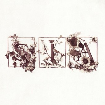 Sia 2004 - Colour The Small One (Deluxe) - Na escolha de 10 álbuns musicais, 10 filmes ou desenhos, o Pen-Drive será grátis...Aproveite!