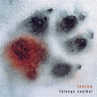Lenine 2002 - Falange Canibal - Na escolha de 10 álbuns musicais, 10 filmes ou desenhos, o Pen-Drive será grátis...Aproveite!